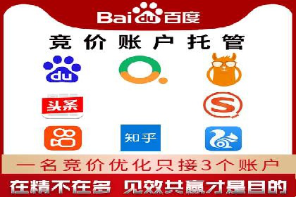 行业趋势下的SEM竞价代运营策略及成功实例